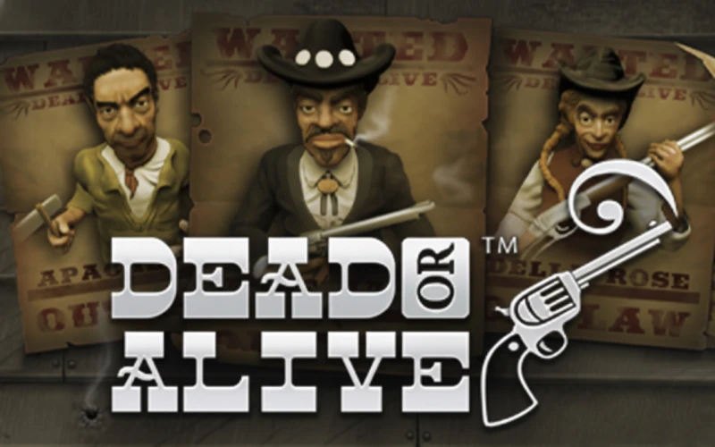 Dead or Alive provides thrilling sessions for Melbet India users.