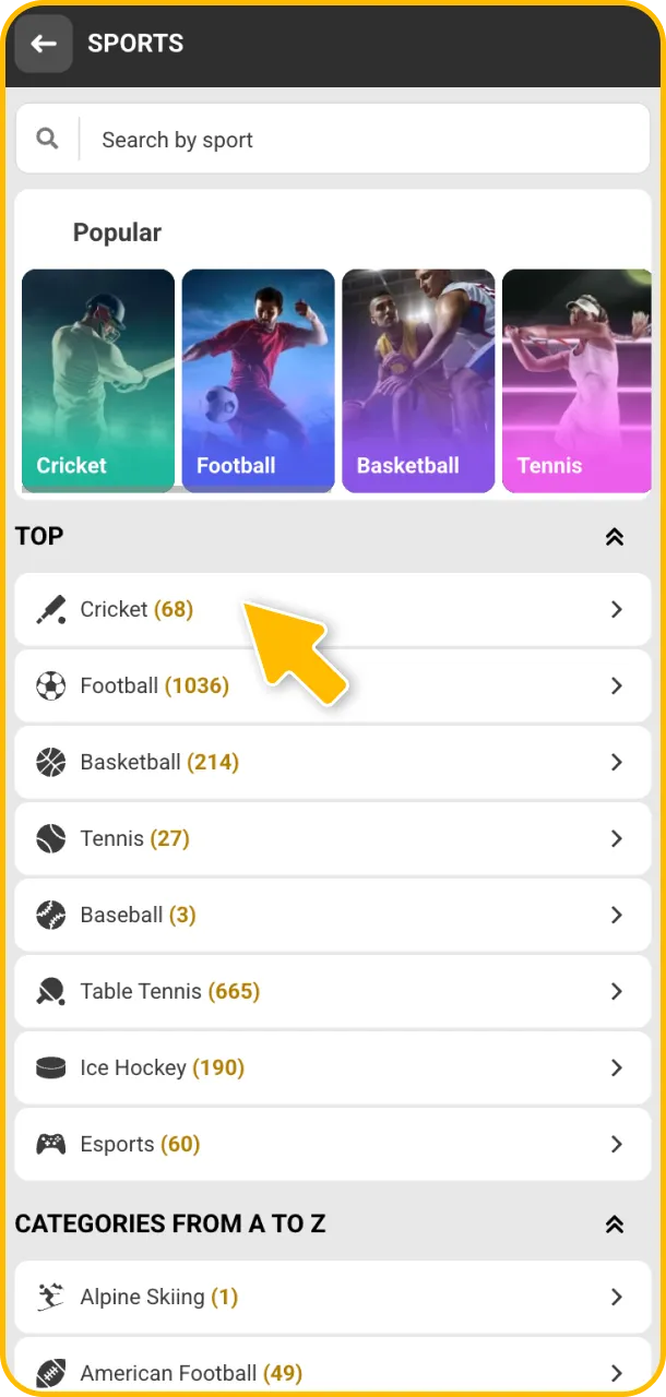 Place your cricket bets and collect your winnings at Melbet.